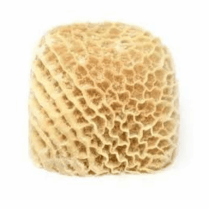 Beef tripe (honeycomb)