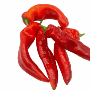 Fresh Long Red Pepper 100g - 3.5kg -3.8kg