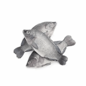 Frozen Tilapia Fish 2.5kg  large (  300 -500)
