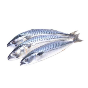 Frozen Tilapia Fish 2.5kg  - 3KG large (  500 -800)