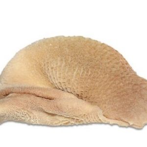 Goat Tripe 1kg  ( goat meat shaki)